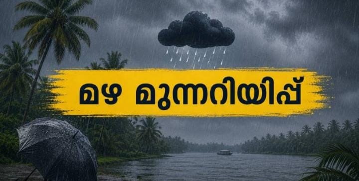Tree Rash കനത്ത മഴ; അടുത്ത മൂന്ന് മണിക്കൂറിൽ തിരുവനന്തപുരത്ത് ഓറഞ്ച് അലർട്ട് ...